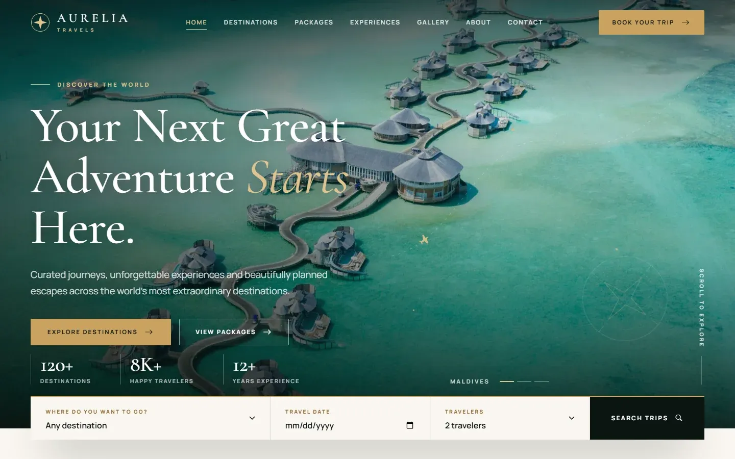 Preview of the Travel Website homepage